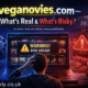 veganovies com Explained: Reality Behind the Trending Name