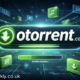 otorrent.com: Inside a Torrent Platform’s Reality
